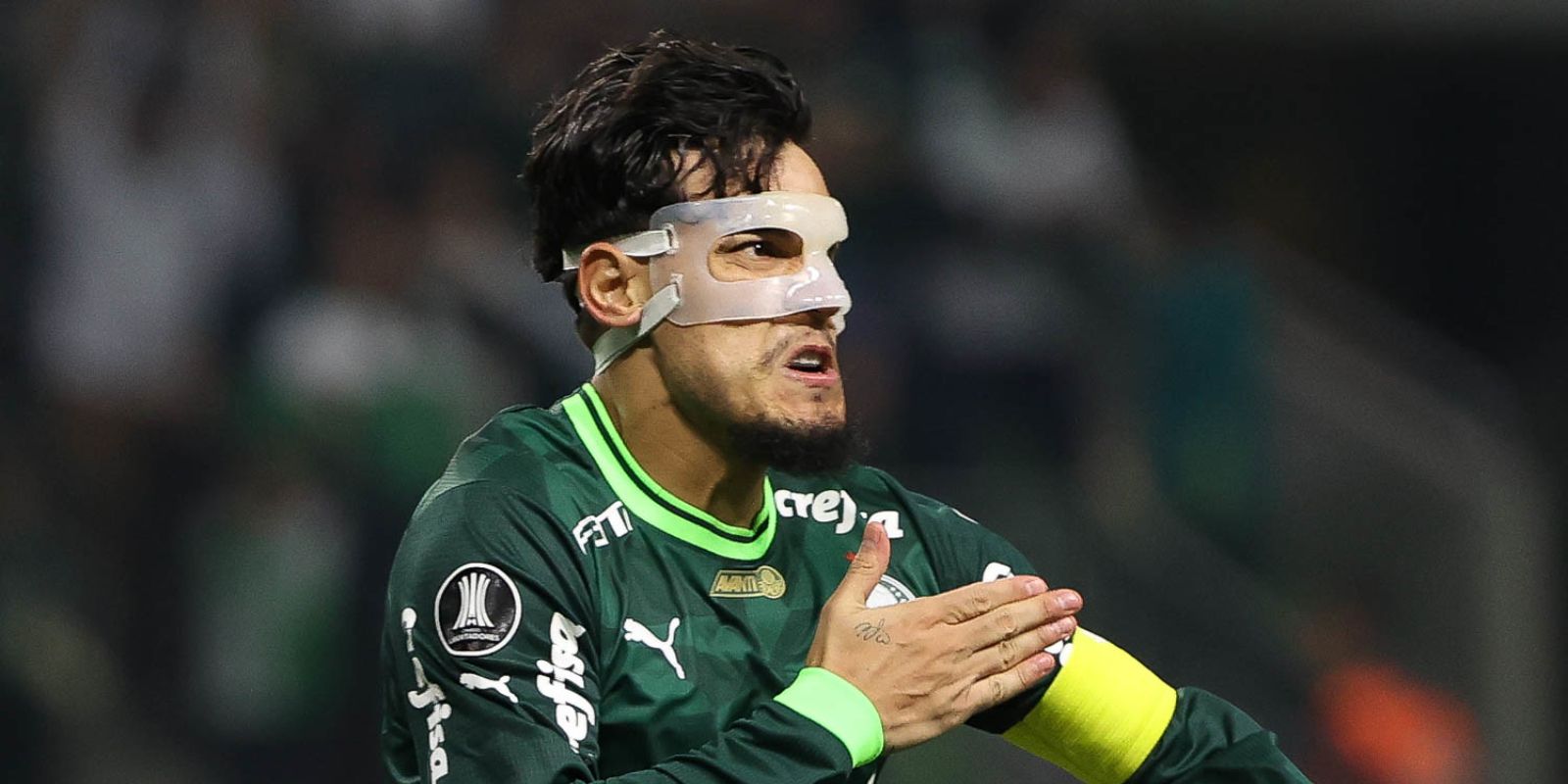 gustavo gomez  Jogadores palmeiras, Maior campeão do brasil, Brasileirao