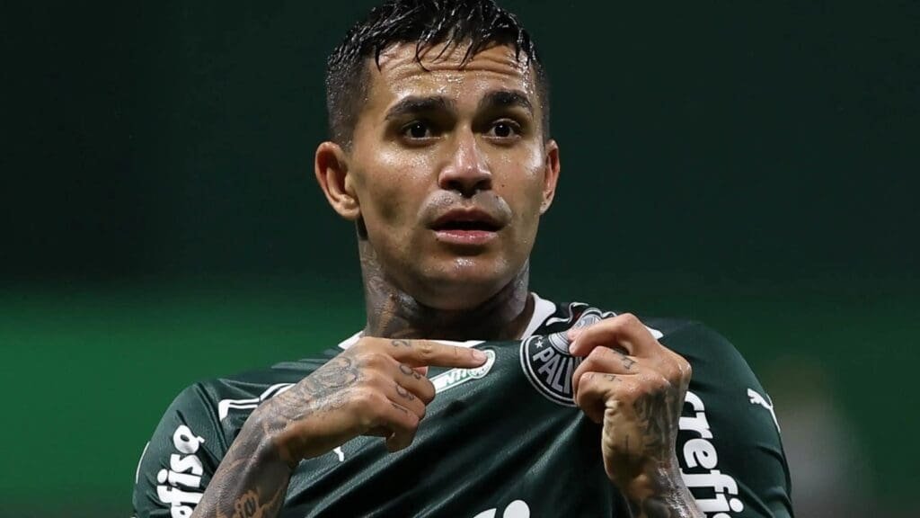 Dudu Palmeiras